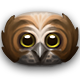 Series 1 - Night Owl