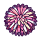 Wet Passion badge Level 3: Bloom Burst
