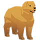 Series 1 - A Simple Dog
