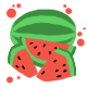 Series 1 - A whole lot of watermelon