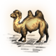 Series 1 - Camel