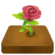 Series 1 - Flowering Rose