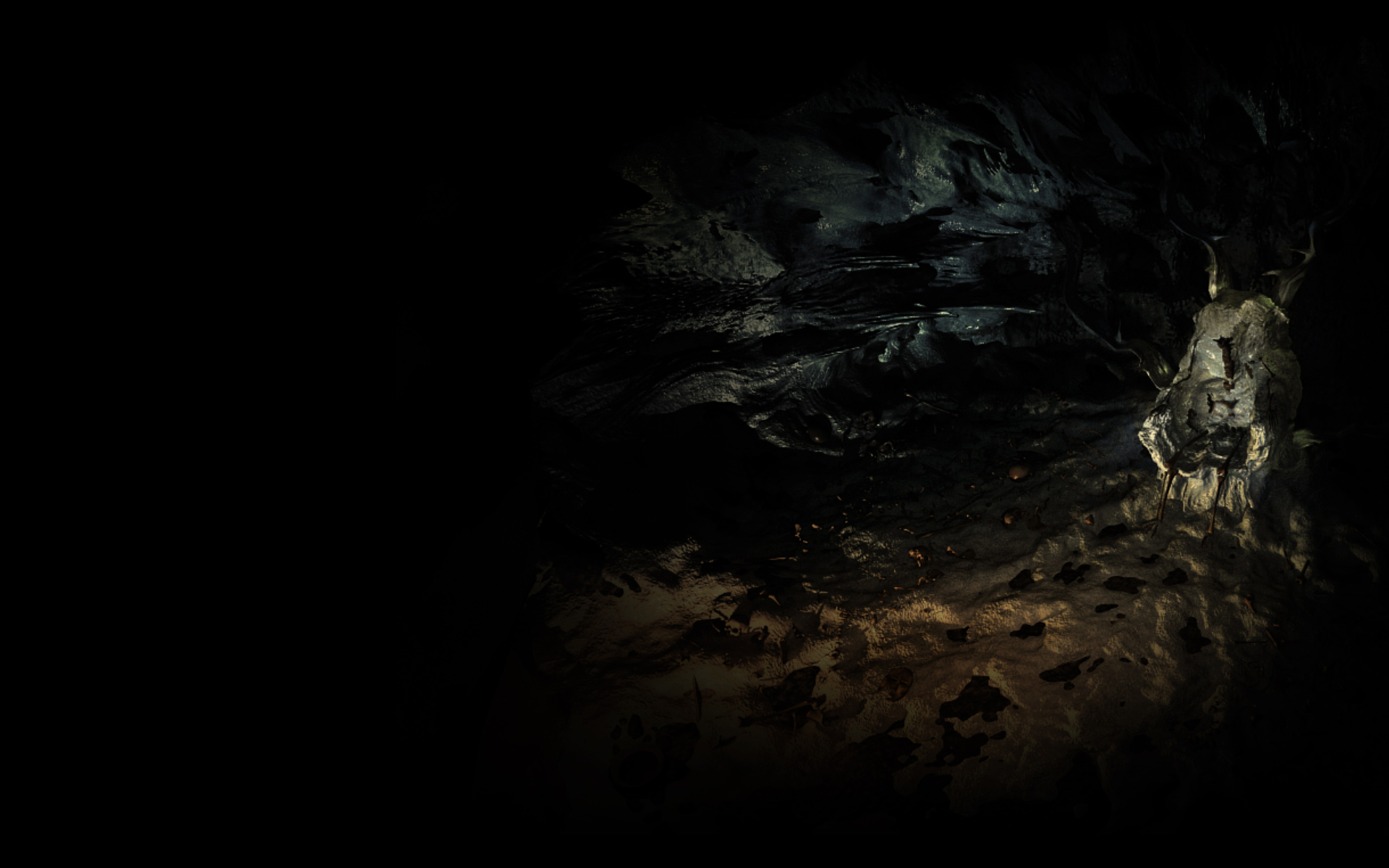 Steam Community Market Listings For The Cave