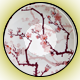 Series 1 - Cherry Blossom Sushi Plate