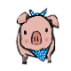 Series 1 - Pig