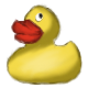 Series 1 - A Wild Duckie Appears!