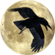 Series 1 - Raven soars