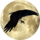 Series 1 - Raven flies