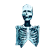 :skeleton8: