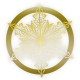 Series 1 - Special Snowflake