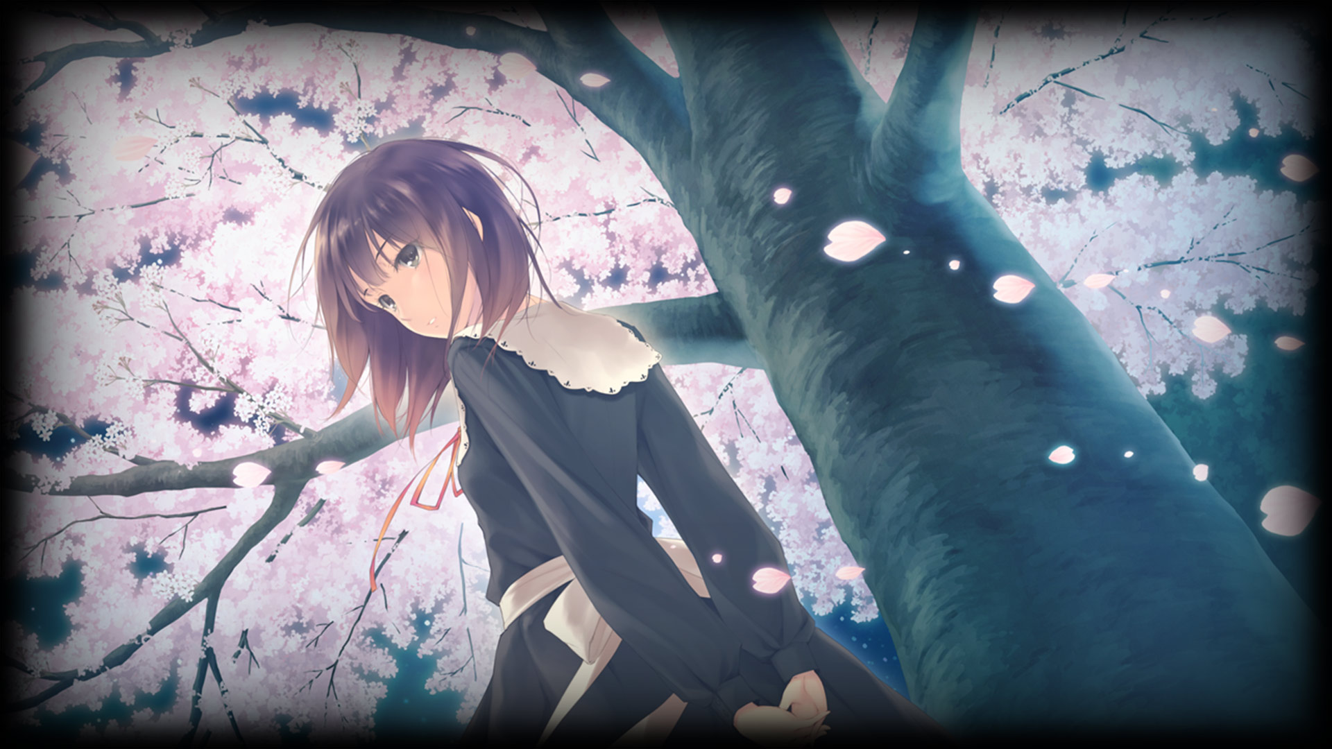 Backgrounds.Gallery | Фон - Flowers -Le volume sur printemps- - Mayuri with  Sakura