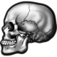 Series 1 - silver brain