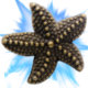Series 1 - Superstar Starfish