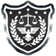 The Precinct badge Level 1: Constable