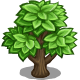 Series 1 - Tree