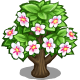 Series 1 - Blooming tree
