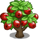 Series 1 - Apple tree