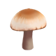 Series 1 - Brown Mushroom
