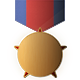 Series 1 - NCO Medal