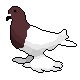 Series 1 - Purebred Pigeon