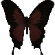 Series 1 - Butterfly