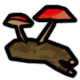 Series 1 - Mushroom Grove