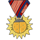 Series 1 - Golden Big Ladybug Medal