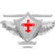 Series 1 - Air Force: SPECIAL Rank Badge