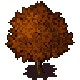 Series 1 - Old tree