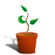 Series 1 - Growing Plant