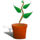 Series 1 - Strong Plant