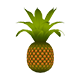 Series 1 - Pineapple