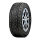 FlatOut badge Level 2: Capped