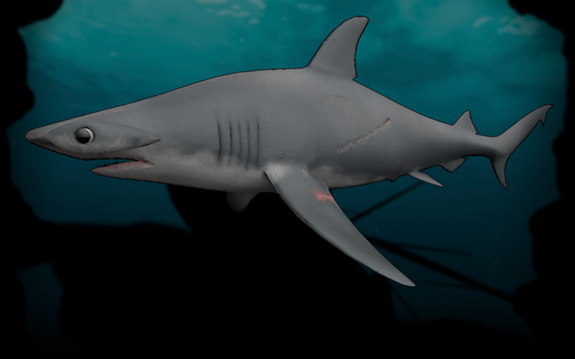 Steam Community Market Listings For Hammerhead Shark