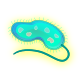 Series 1 - Protozoa