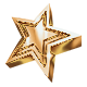 Series 1 - Bronze Super Star