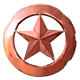 Series 1 - Bronze Ranger Star