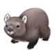 Series 1 - Wandering Wombat