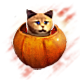 Series 1 - Pumpkin Cat