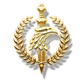 Expeditions: Rome badge Level 3: Centurio