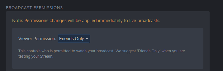 What is a Steam Store Broadcast?